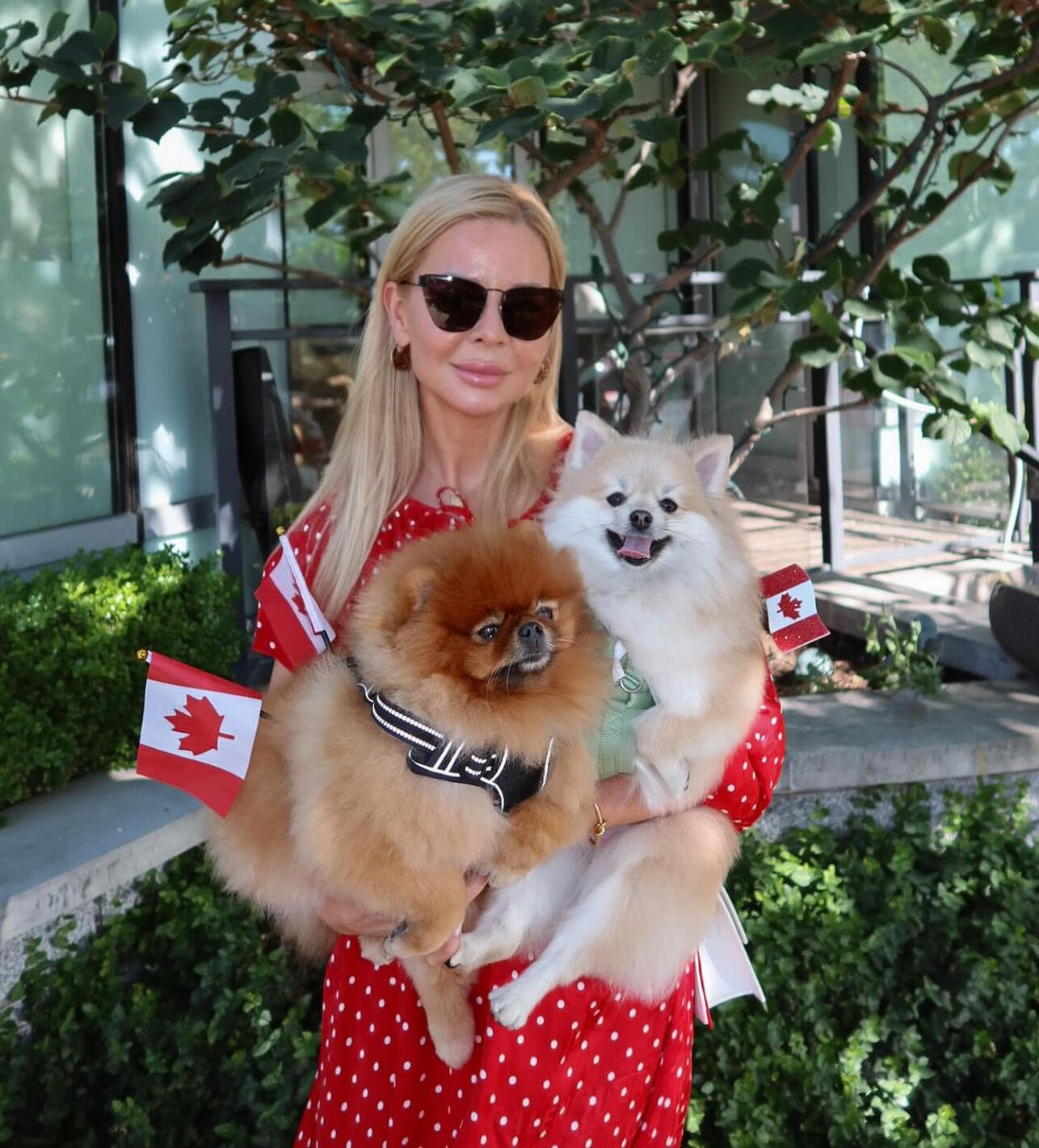 Olena Zolotukhina, certified groomer at Lapa Dog Grooming Olena Zolotukhina, PIJAC certified dog groomer at Lapa Dog Grooming, holding two Pomeranians on Canada Day in Port Coquitlam BC